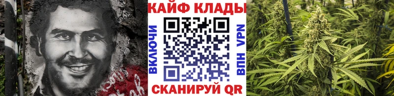 Наркошоп купить Cocaine  A-PVP  Гашиш  Амфетамин  МЕФ  Североморск