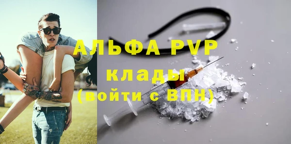 spice Верея