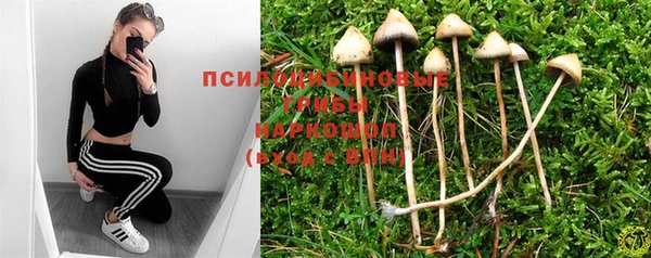 герыч Верхний Тагил