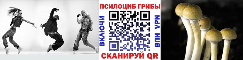 Галлюциногенные грибы MAGIC MUSHROOMS  Купить где  Североморск 